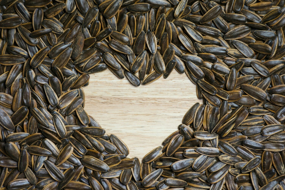 Quando cambia il metabolismo dopo i 50 anni: l’abitudine quotidiana che riduce il desiderio di dolci